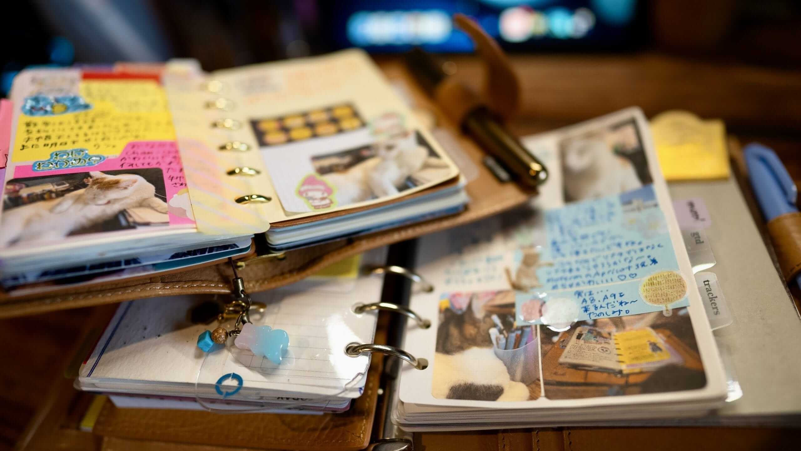 DSC00643 ‣ 🌈 Junkyard Diary