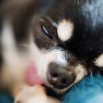 帯状疱疹になった