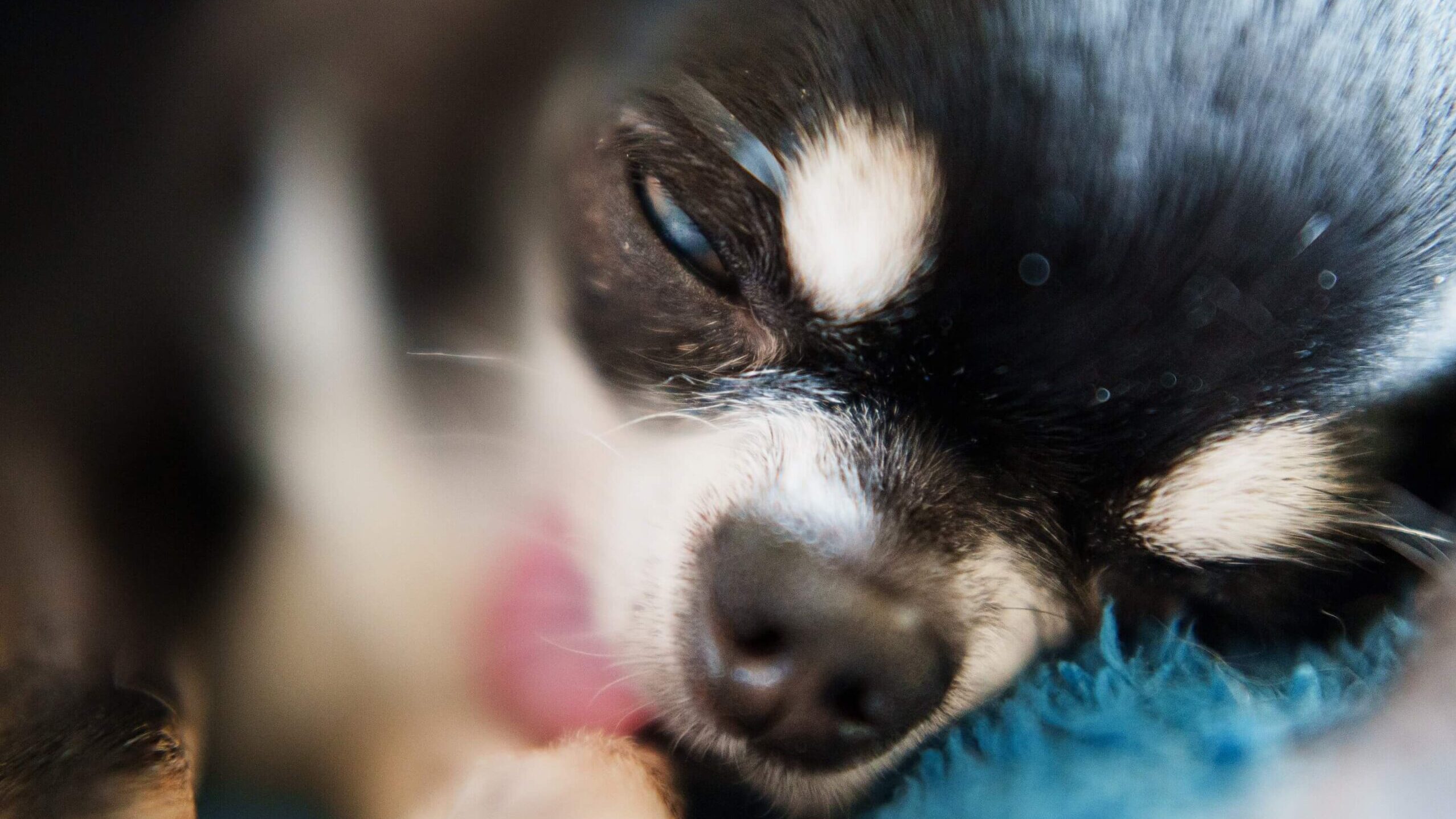 帯状疱疹になった